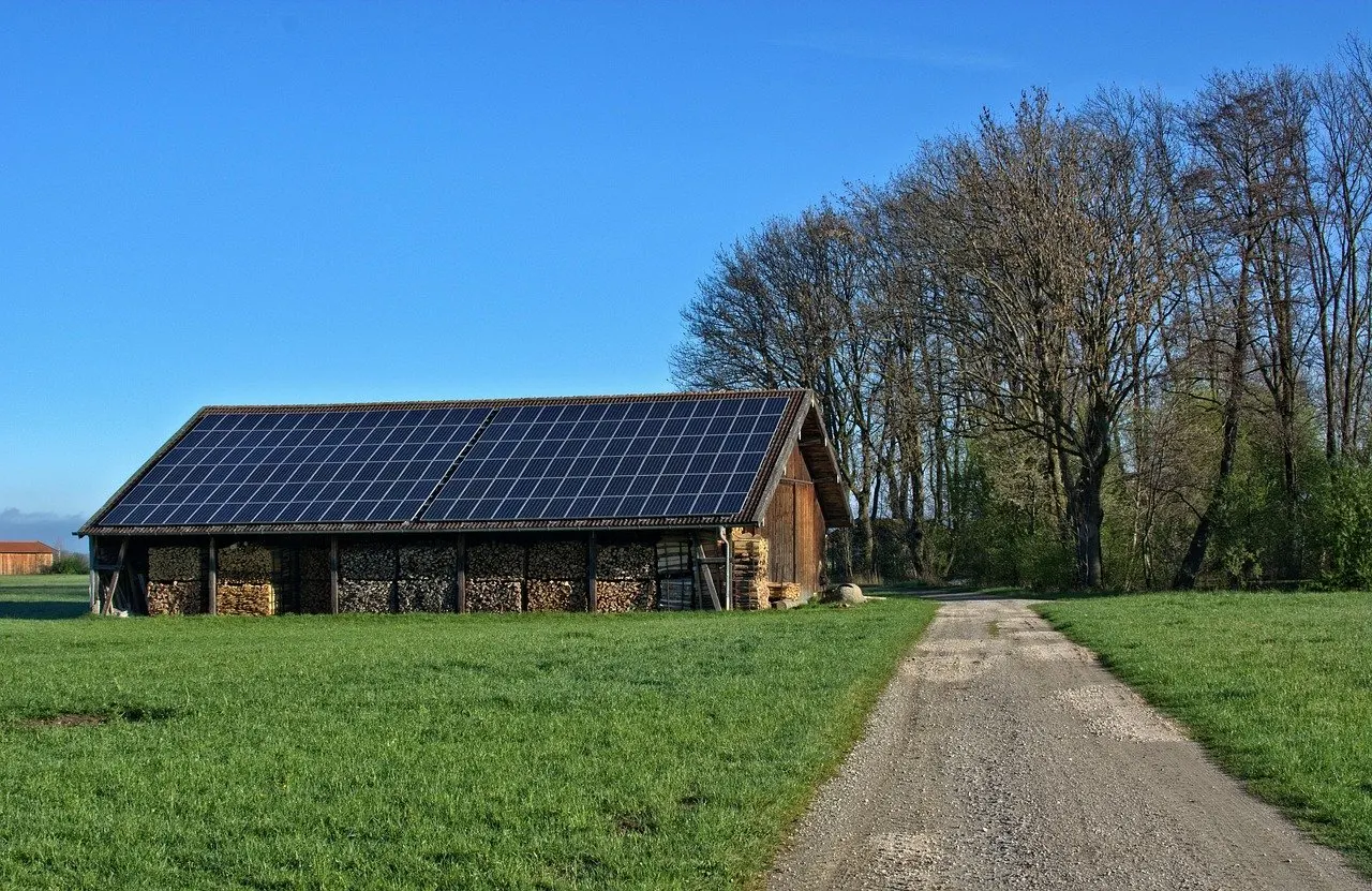 Offener Holzunterstand mit Photovoltaikmodulen auf dem Satteldach, darunter gestapeltes Brennholz, daneben ein Feldweg und Bäume